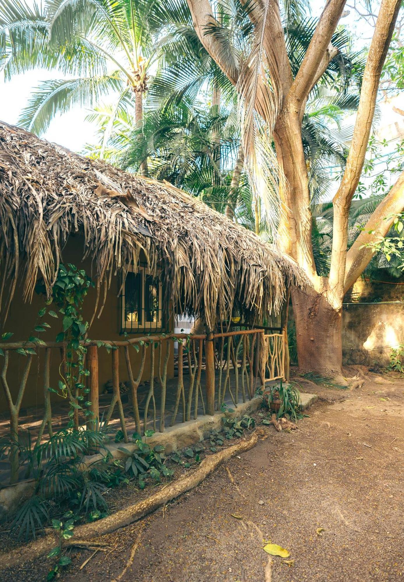 Junto Al Rio Bungalows & Suites Sayulita Zewnętrze zdjęcie