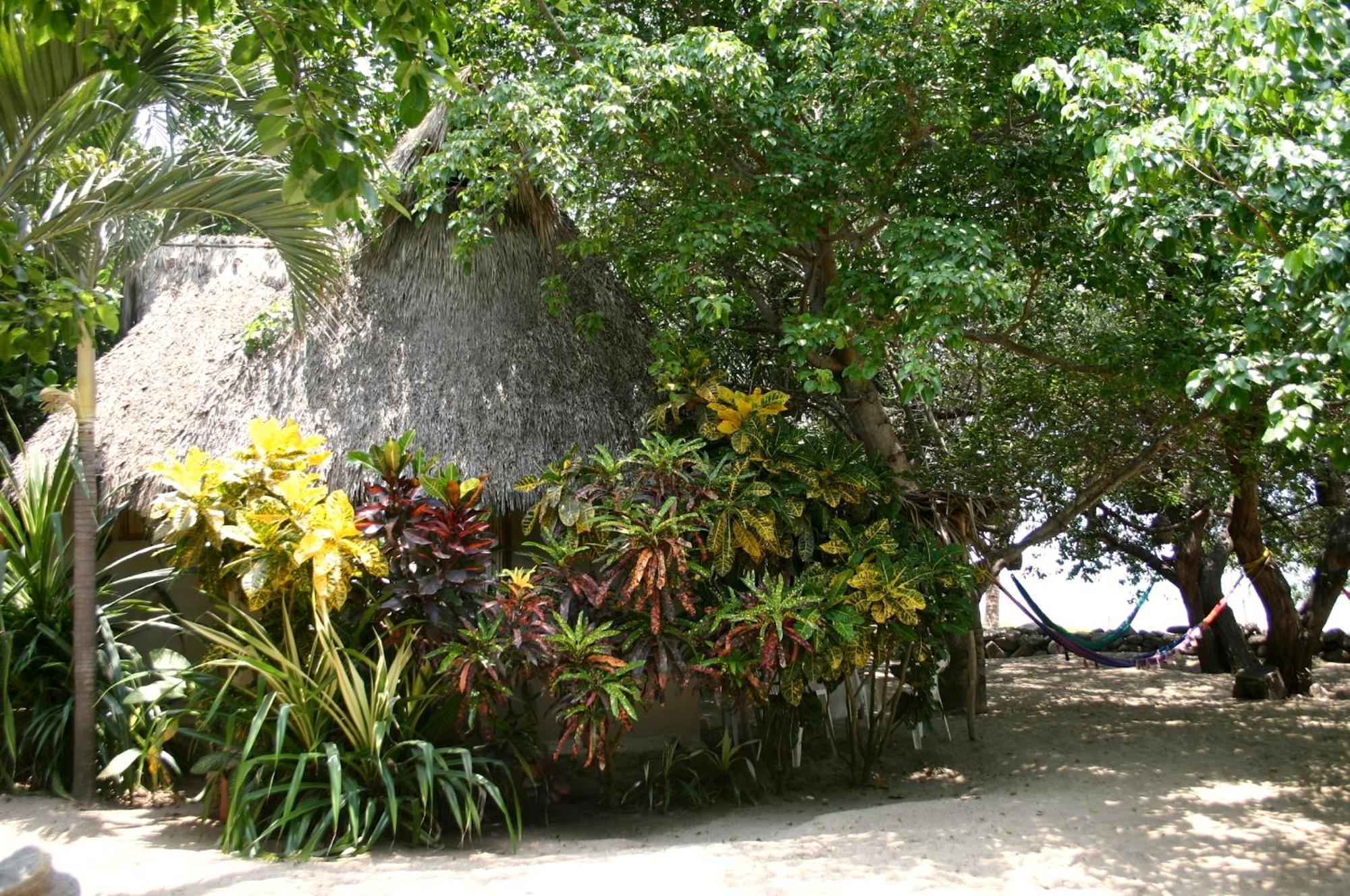 Junto Al Rio Bungalows & Suites Sayulita Zewnętrze zdjęcie