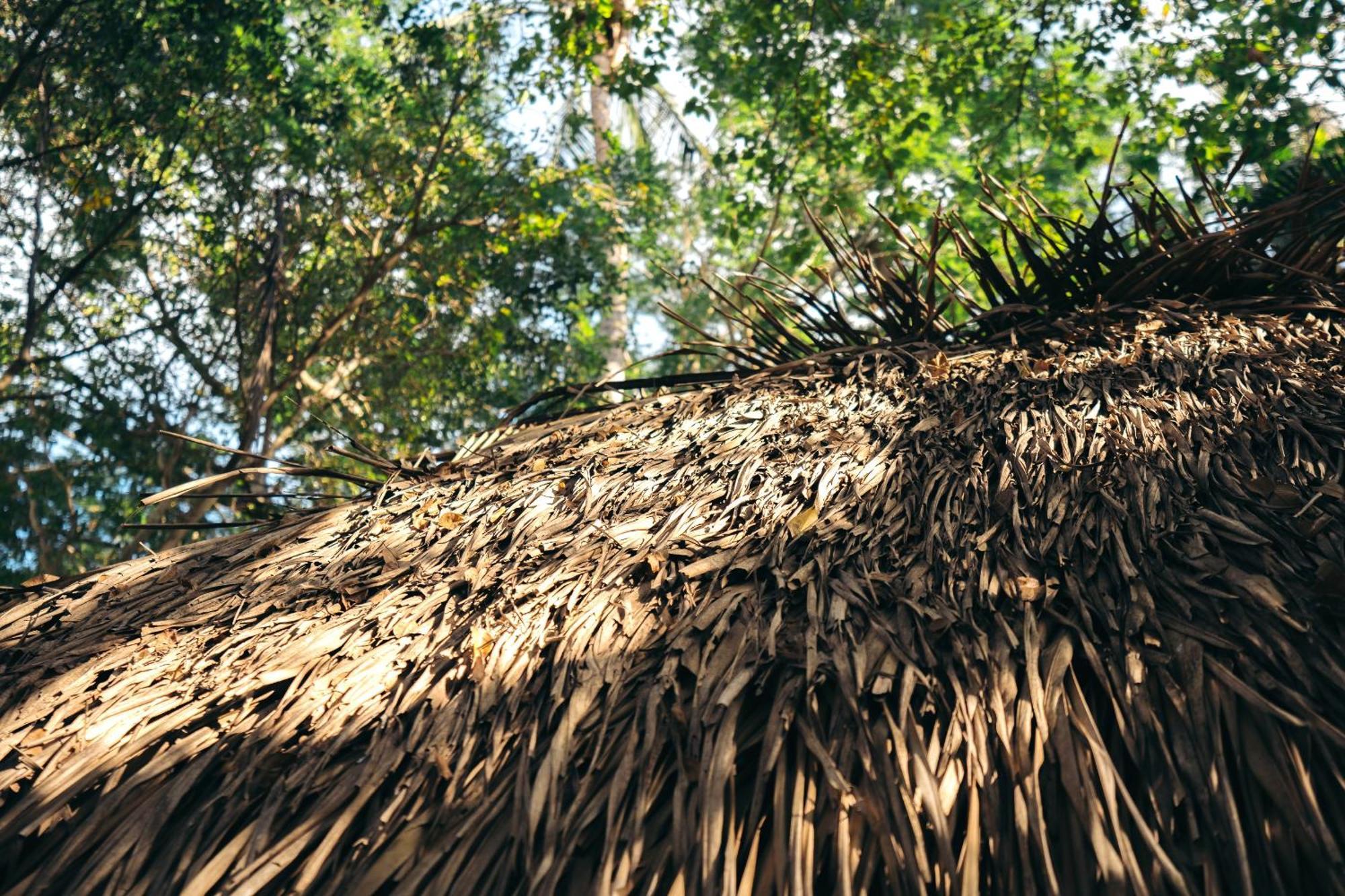 Junto Al Rio Bungalows & Suites Sayulita Zewnętrze zdjęcie