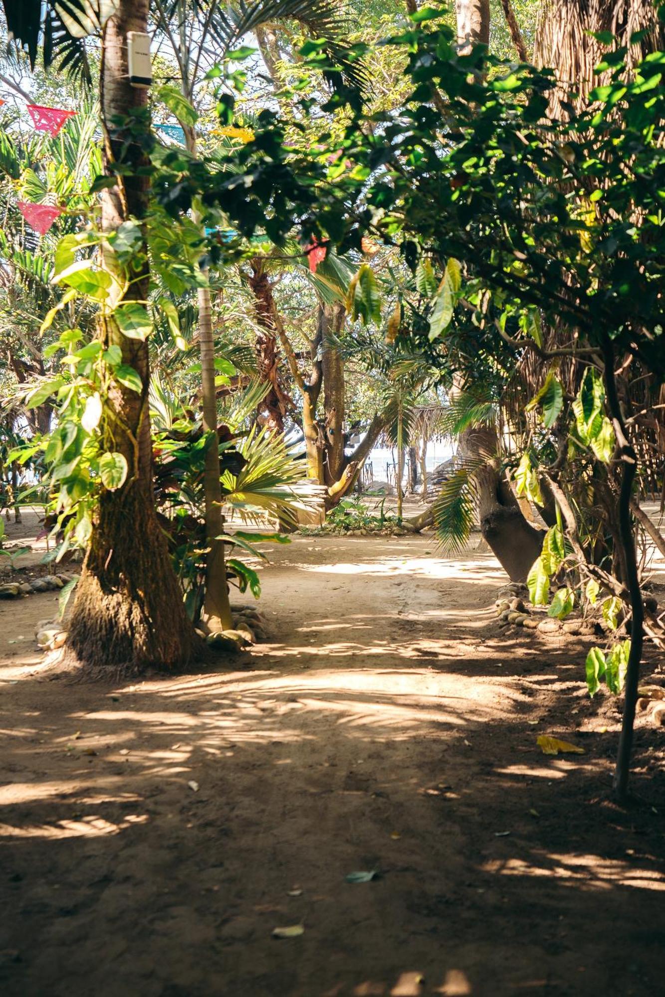 Junto Al Rio Bungalows & Suites Sayulita Zewnętrze zdjęcie