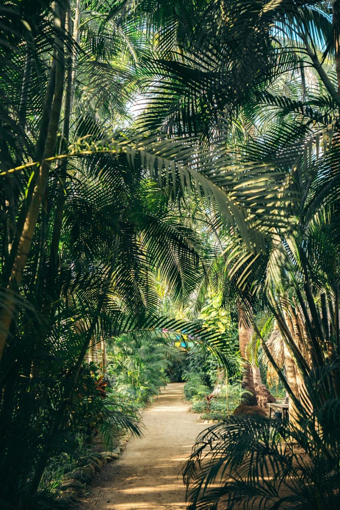 Junto Al Rio Bungalows & Suites Sayulita Zewnętrze zdjęcie